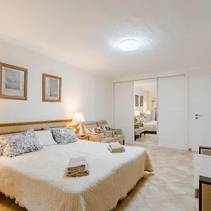 With Private Pool And Beautiful Garden , Los Cristianos (Tenerife) Spain